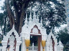 -西双版纳傣族园
