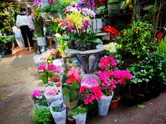 -循礼门鲜花花市(武汉循礼门店)