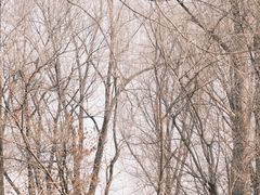 -长春净月潭风景名胜区