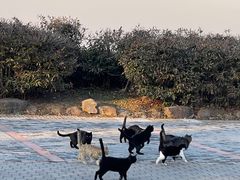 -南京市江宁方山