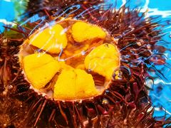 -连鹭海鲜·大连菜(星海店)