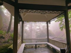 -缙云山景区