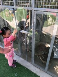 -萌宠亲子动物乐园(槐房万达店)