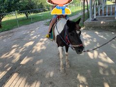 -兴芮温泉度假区