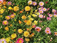 -恒达综合农贸市场(黄山路店)