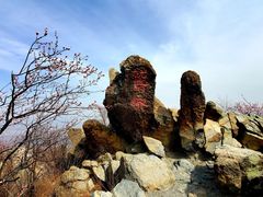 -北京鹫峰国家森林公园