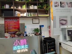 -东方美妍小鹏造型