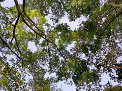 -人民公园(罗湖区)