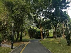 -深圳国际园林花卉博览园