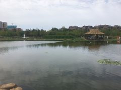 -前关湿地公园