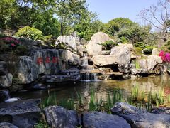 -东莞植物园