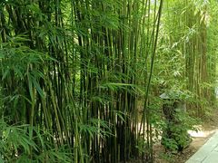 -亚龙湾红树林度假酒店御粤阁