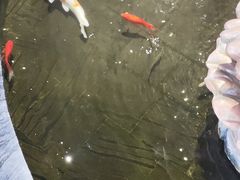 -裕丰源滋补烩面(天赋路店)
