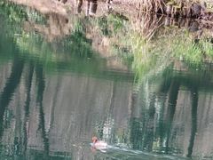 -贵阳市花溪国家城市湿地公园