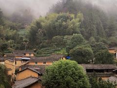 -杨家堂村