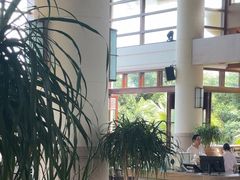 -亚龙湾喜来登·美景台大堂吧