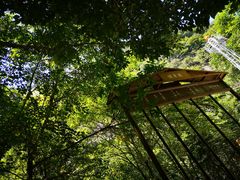 -青峰峡国家森林公园