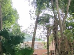 -碧水湾温泉