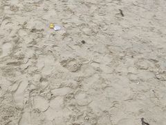 -西涌国际滨海旅游区