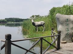 -溱湖国家湿地公园