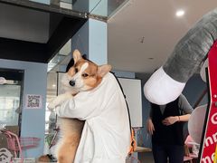 -汪说·狗咖(旺城大厦店)