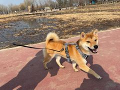 -绿堤公园
