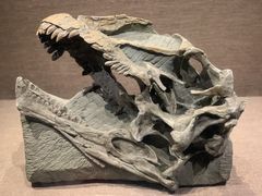 -自贡恐龙博物馆