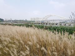 -澹台湖公园