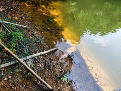 -杭州半山国家森林公园