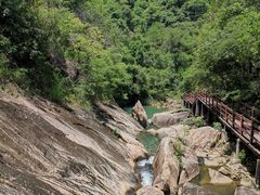 -广州白江湖森林公园