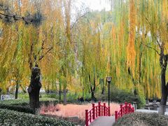 -玲珑塔公园