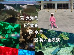-江和美海洋公园
