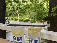 -日照海滨国家森林公园