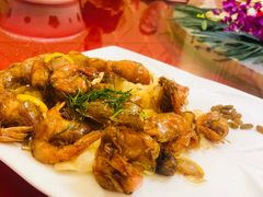 -清心鸡沙田乳鸽店·非遗传承(粤垦路店)