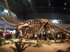 -自贡恐龙博物馆