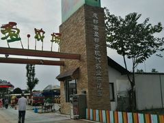 -成都美盈都市现代农业示范园