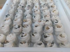 -万福兴(东中市店)