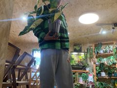 -Rabbit Cafe私房西餐甜点咖啡(栖霞路店)