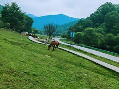 -大水川景区