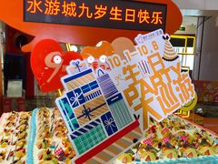 -鹏欣水游城