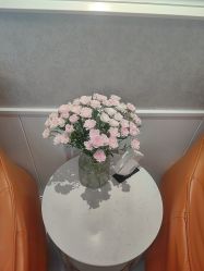 -YESIDO椰岛美容