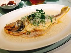 -苏浙汇(朝外店)