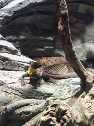 -Zoolung Zoolung动物主题公园(海信广场店)