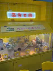 -神奇动物撸宠馆·羊驼·小浣熊·异宠(豫园店)