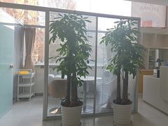 -北京熙仁医院眼科·近视手术专科