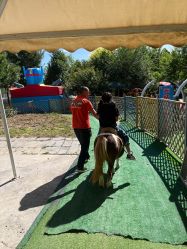 -萌宠亲子动物乐园(槐房万达店)