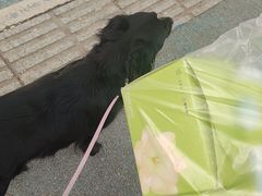 -维利康(江宁义乌店)