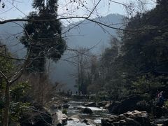 -刘伯温故里景区百丈漈