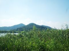 -湘湖大院(越王路店)