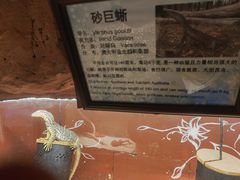 景点-上海大自然野生昆虫馆